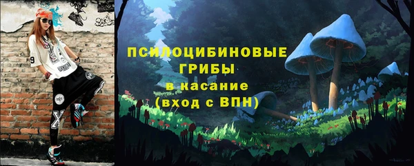 твердый Семикаракорск
