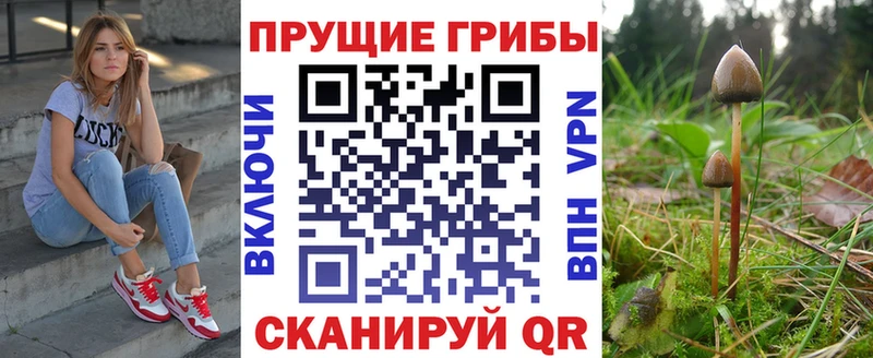 Галлюциногенные грибы ЛСД  Морозовск 