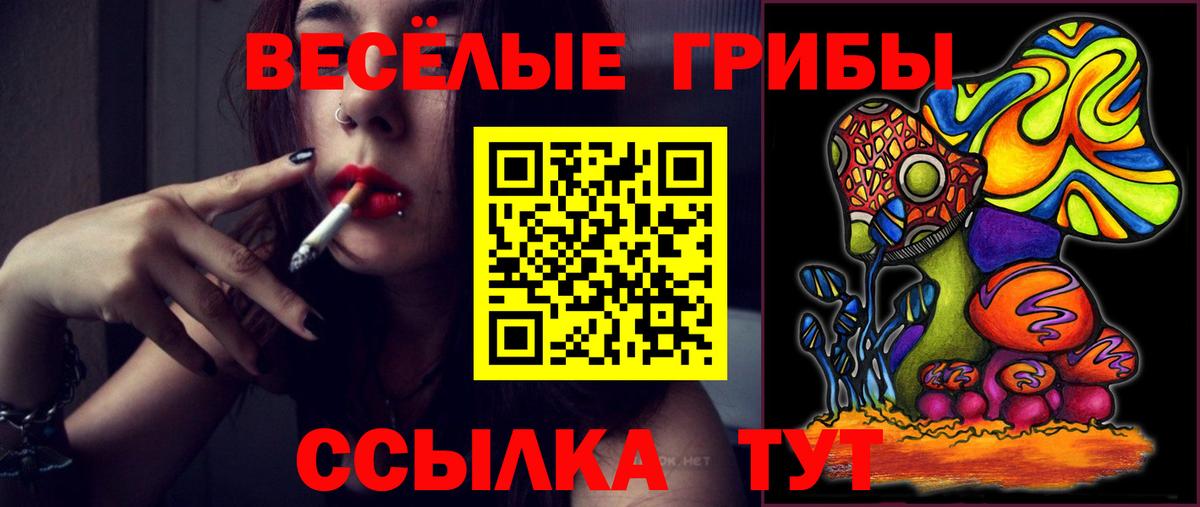 Морозовск  Галлюциногенные грибы Magic Shrooms  купить   Галлюциногенные грибы Magic Shrooms  Вход с VPN 